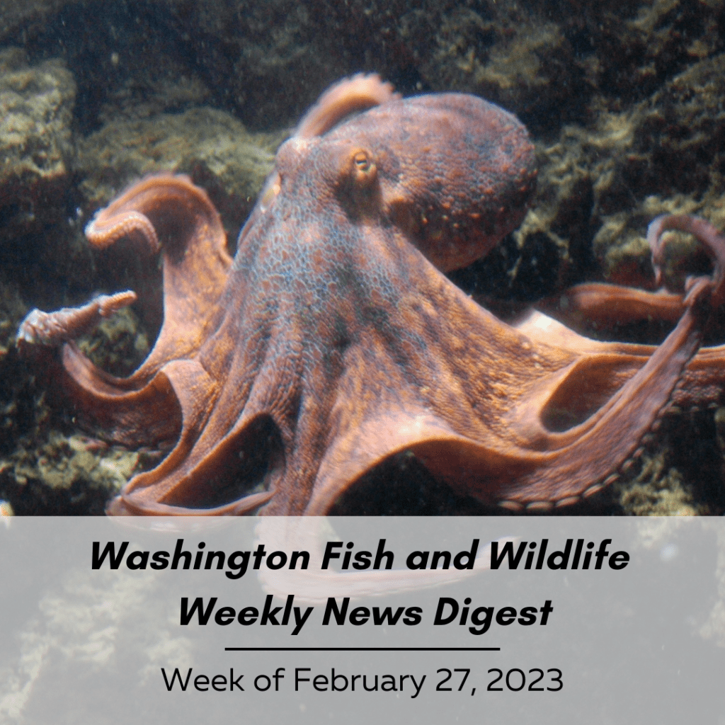 Washington Fish and Wildlife Weekly Digest - Week of February 27, 2023