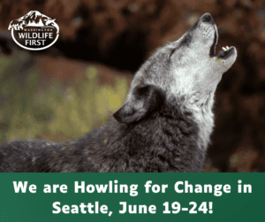 We are Howling for Change in Seattle, June 19-24!