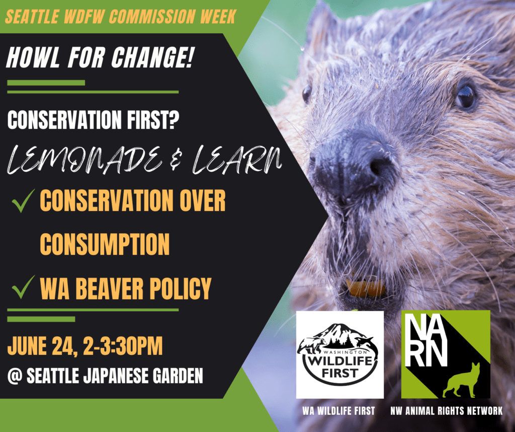 Conservation First? Lemonade-and-Learn with Washington Wildlife First ...