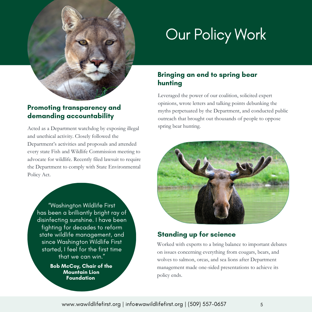 Our Policy Work