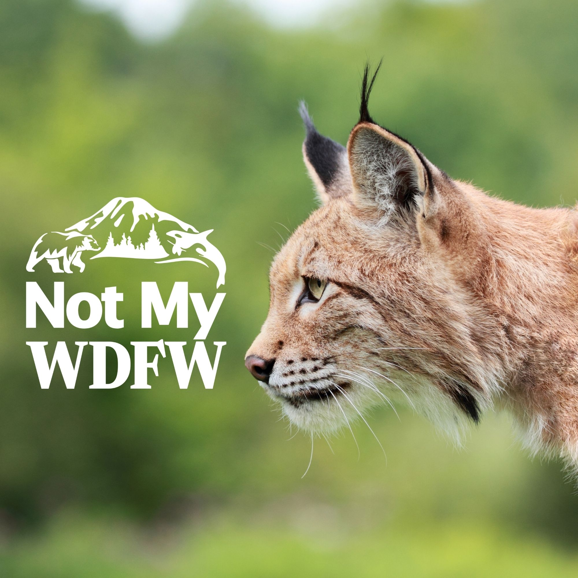 Washington Wildlife First Files Civil Rights Lawsuit Against WDFW ...